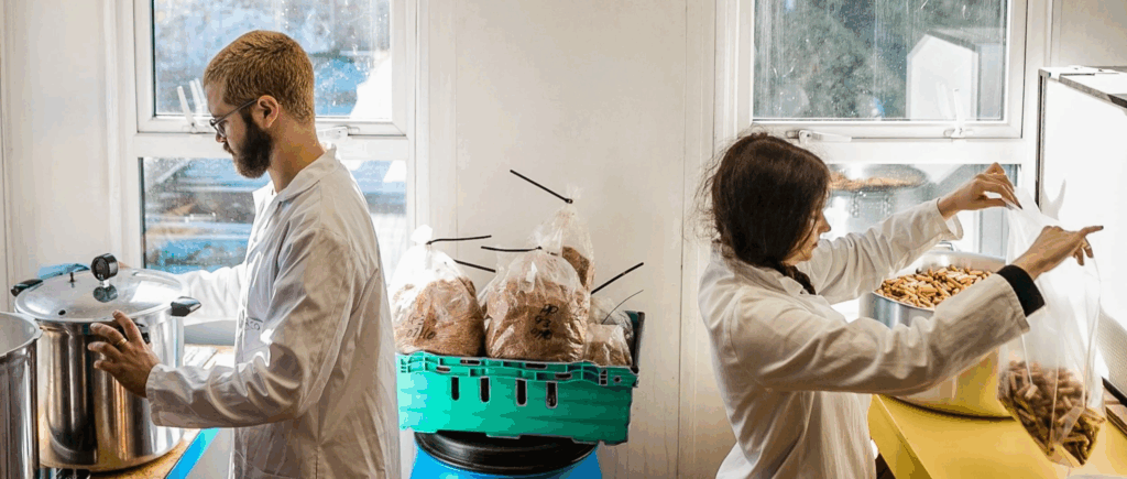 zdroj: Rhyze Mushrooms