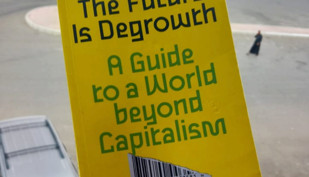 Degrowth