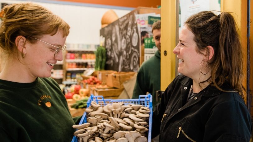 Družstvo Rhyze Mushrooms (zdroj archiv Rhyze Mushrooms)